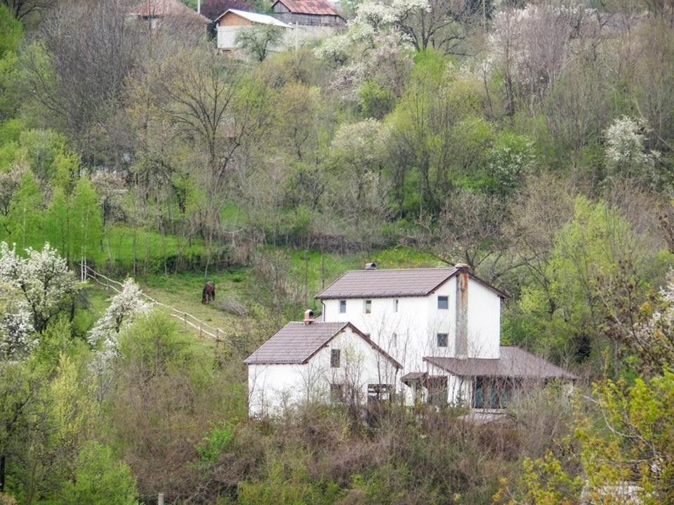 Casa Piscul Lupului Βίλα Pucioasa Εξωτερικό φωτογραφία