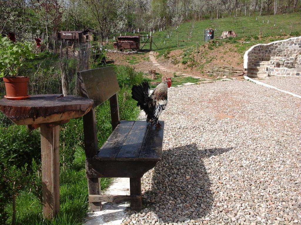 Casa Piscul Lupului Βίλα Pucioasa Εξωτερικό φωτογραφία
