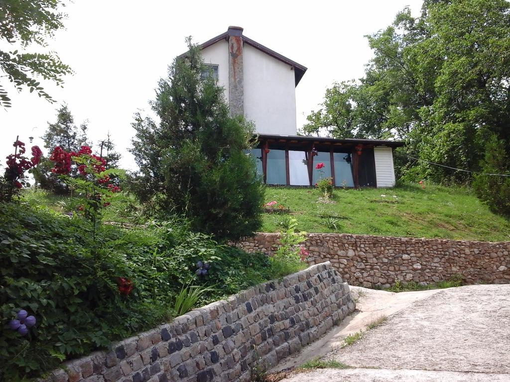 Casa Piscul Lupului Βίλα Pucioasa Εξωτερικό φωτογραφία