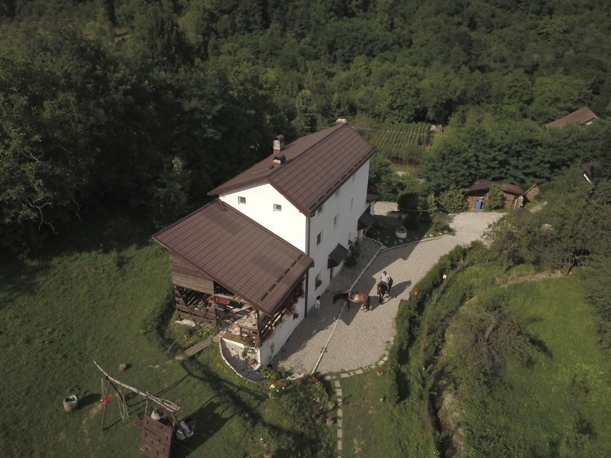 Casa Piscul Lupului Βίλα Pucioasa Εξωτερικό φωτογραφία